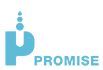 Promise